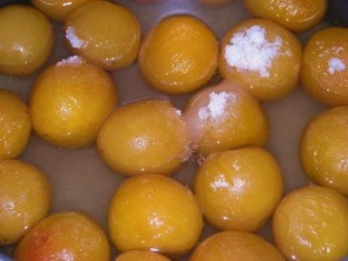 DSCN8956 (300x225).jpg