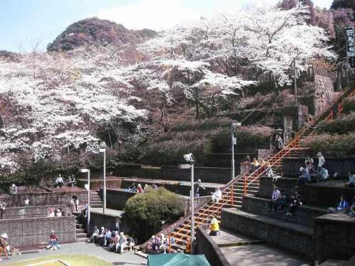 熊本地震八代市日奈久温泉スプリングフェスタ.jpg