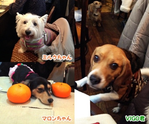 yomotsuku20120225-15.jpg