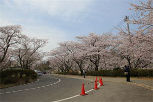 船岡4.jpg