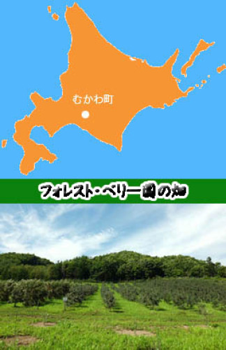 地図.jpg