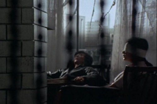 PDVD_026.jpg