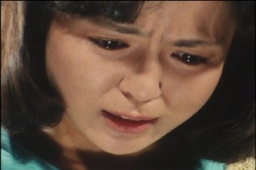 PDVD_005.jpg