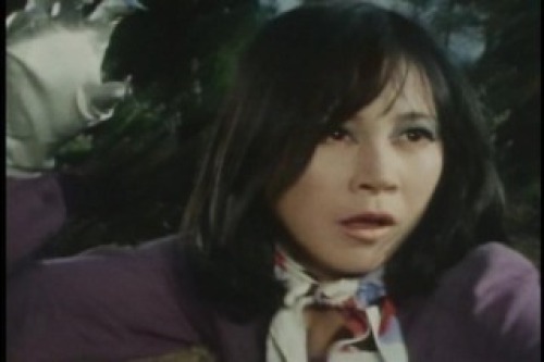 PDVD_043.jpg