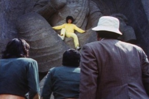 PDVD_005.jpg
