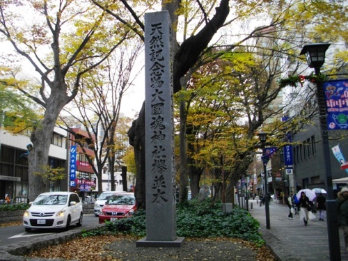 大国魂神社けやき並木 (2).JPG