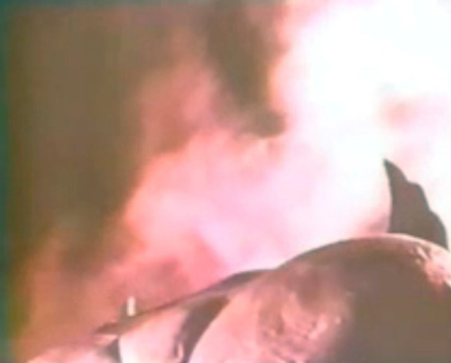 WS000074.jpg