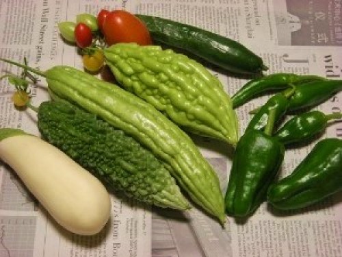 DSCN2711 (300x225).jpg