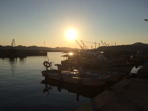 280117_6 (500x375).jpg