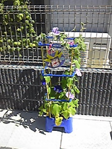 120718_091541.jpg