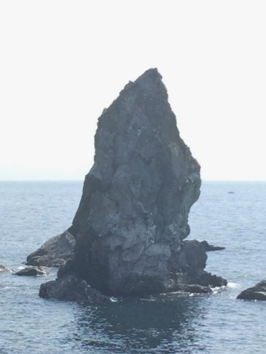 IMG_0277 (481x640).jpg