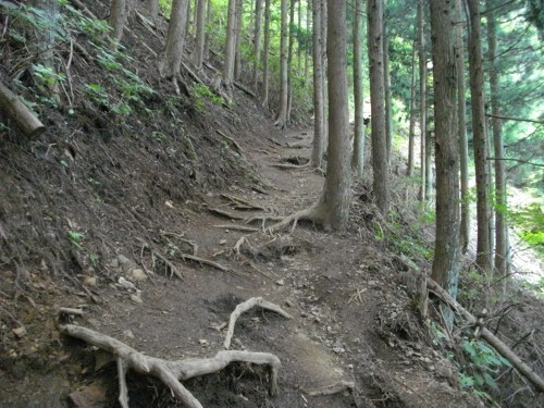 伊豆ヶ岳迂回路 (500x375).jpg