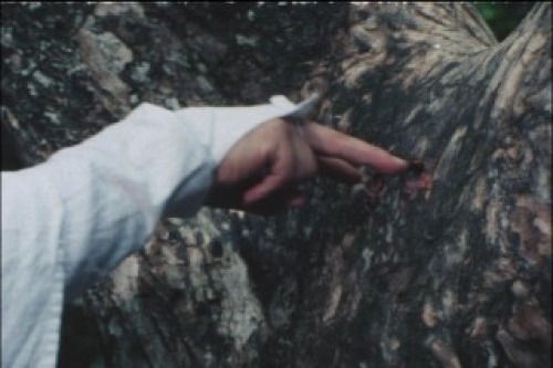 PDVD_027.jpg