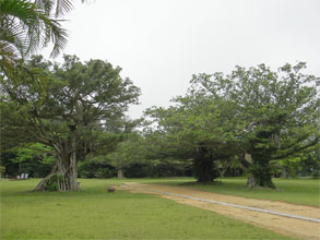 沖縄127.jpg