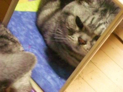 DSCN5849 (300x225).jpg