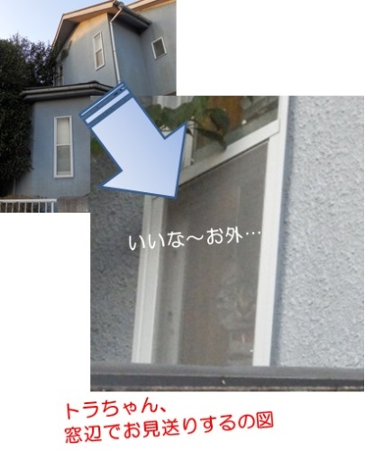 20151011_5.jpg