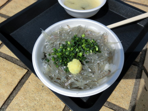 用宗漁港　生しらす丼