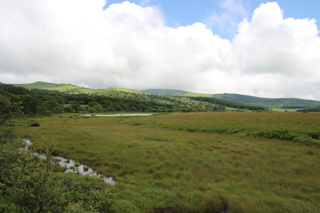 八島ヶ原湿原