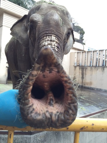 写真 2016-01-14 21 13 26.jpg