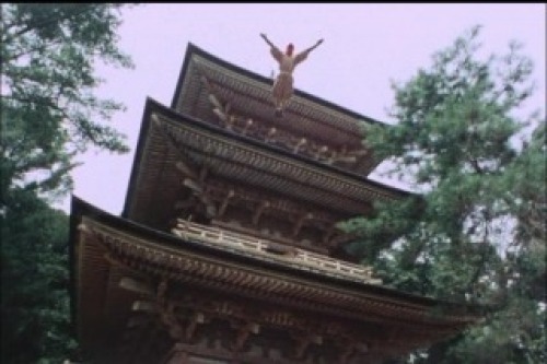 PDVD_001.jpg