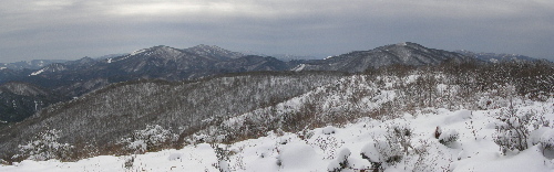 P2170792PL4t.jpg