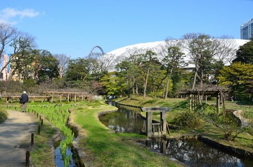 FUJIDANA 4.Apr.2017 KOISHIKAWA KORAKUEN-1.jpg