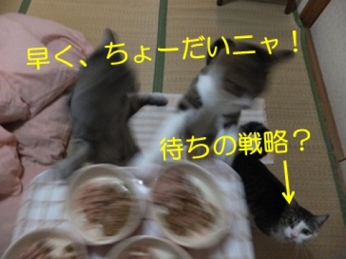 201212115_4.jpg
