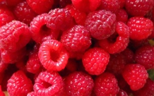 Red-Raspberry-berries-close-up-photography_s.jpg