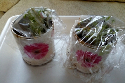 2016-01-12 13-06-48.jpg