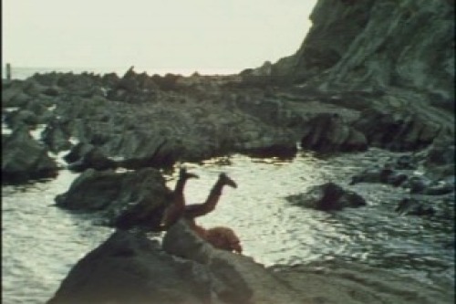 PDVD_033.jpg