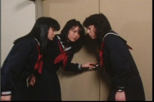 PDVD_067.jpg