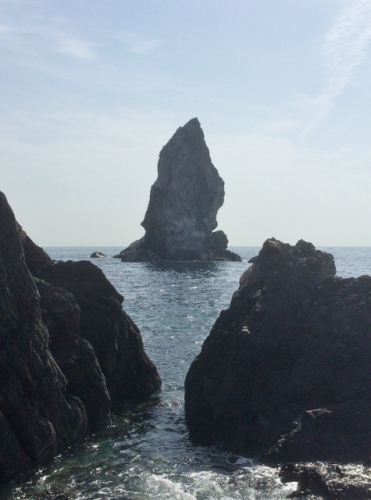 IMG_0253 (475x640).jpg