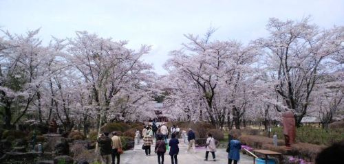 聖光寺-参道