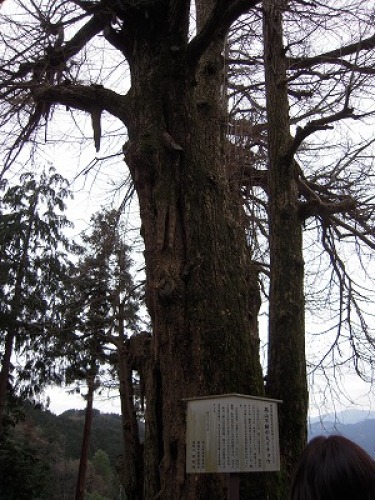 DSCN9906.jpg