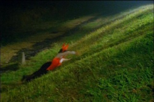 PDVD_118.jpg