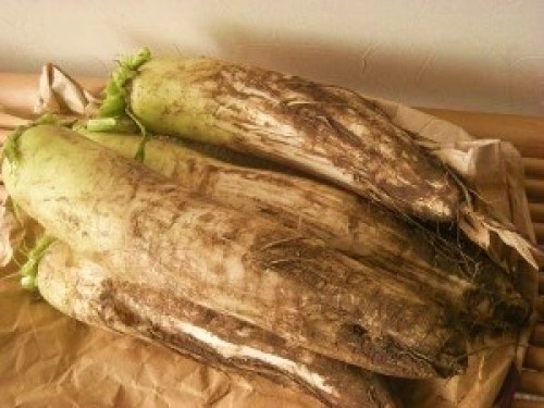 DSCN1944 (300x225).jpg