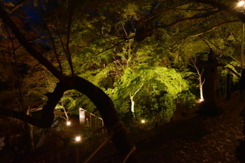 DSC_3487.JPG