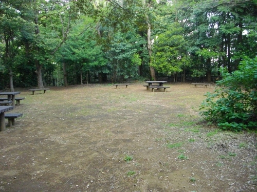 小机城二の丸腰曲輪 (500x375).jpg