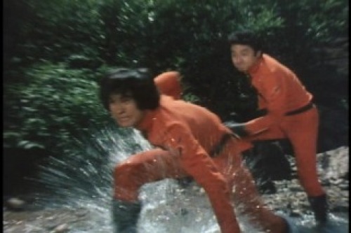PDVD_033.jpg