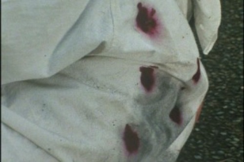 PDVD_011.jpg