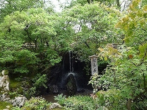 P1000327.jpg