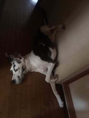 201409121126_9459_iphone.jpg