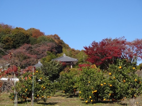 天正寺.jpg