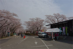 船岡32.jpg