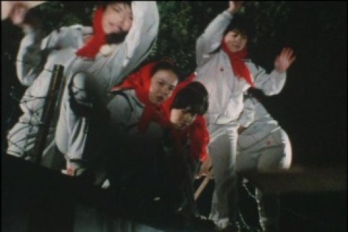 PDVD_001.jpg