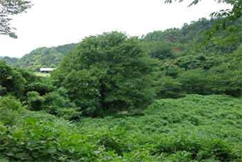 金山61.jpg