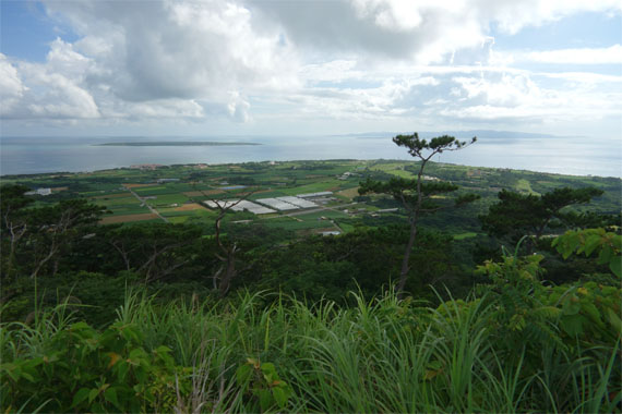 石垣388.jpg
