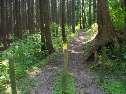 幕山入り口 (500x375).jpg