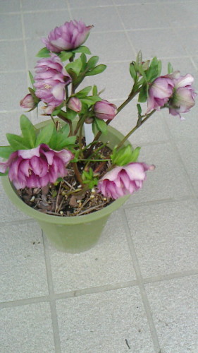 2012040710080001.jpg