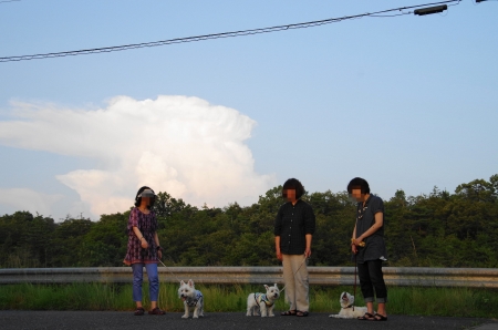 修正2IMGP1033 (1).jpg
